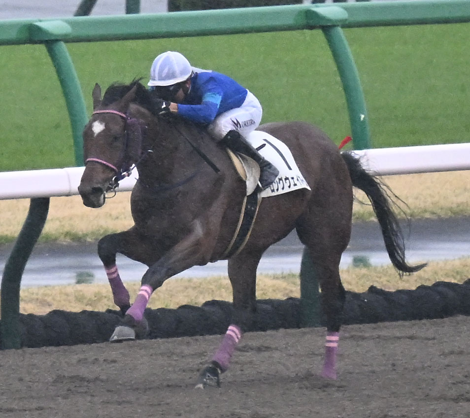 中山2R、3歳未勝利戦を制したロングウェイホームとモレイラ騎手（撮影・千葉一成）