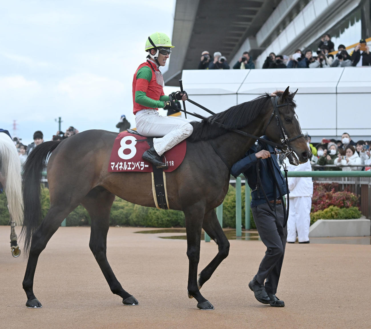 日経賞を制したマイネルエンペラーと丹内騎手（撮影・千葉一成）