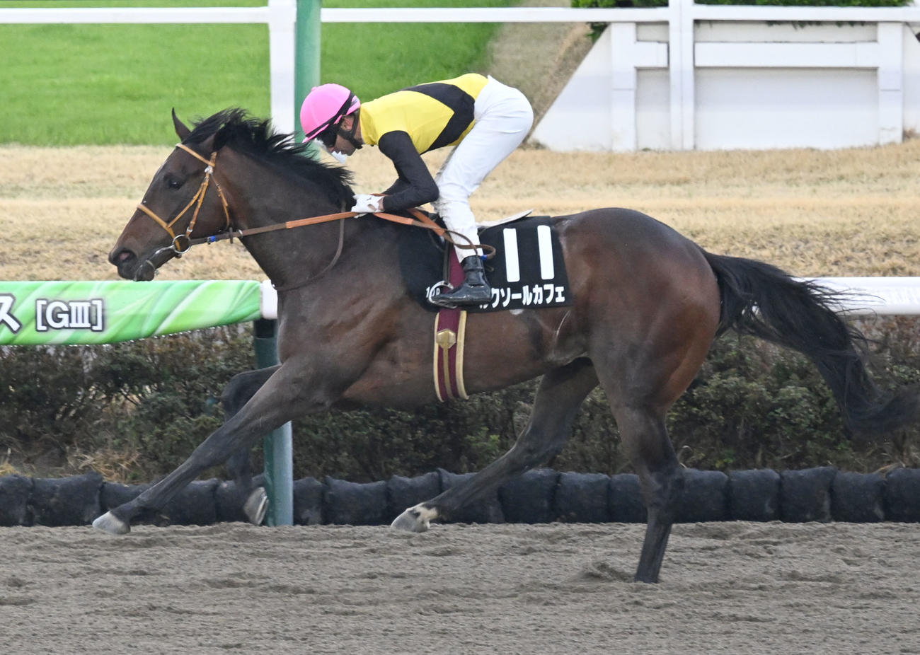 伏竜Sを制したルクソールカフェとモレイラ騎手（撮影・千葉一成）
