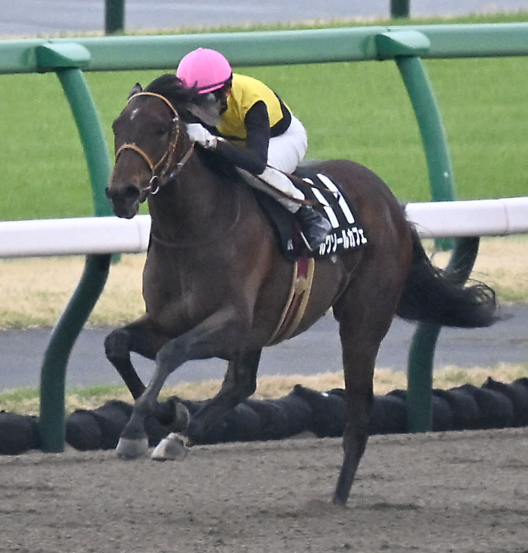 伏竜Sを制したルクソールカフェとモレイラ騎手（撮影・千葉一成）