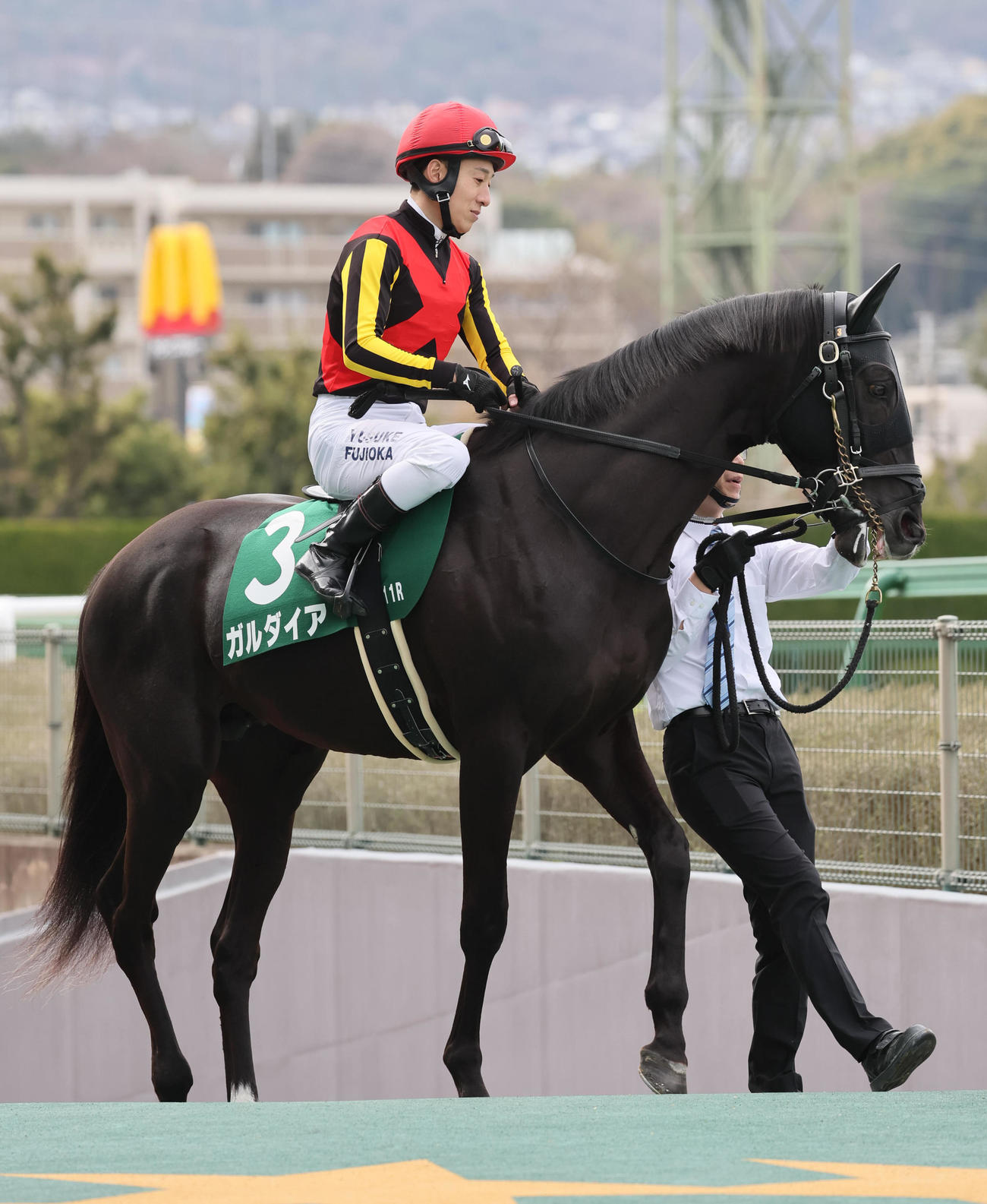 毎日杯2着のガルダイア（撮影・宮崎幸一）
