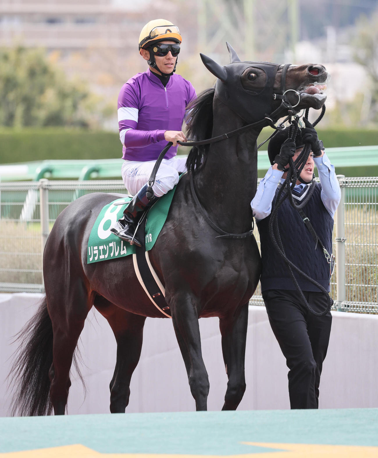 毎日杯7着のリラエンブレム（撮影・宮崎幸一）