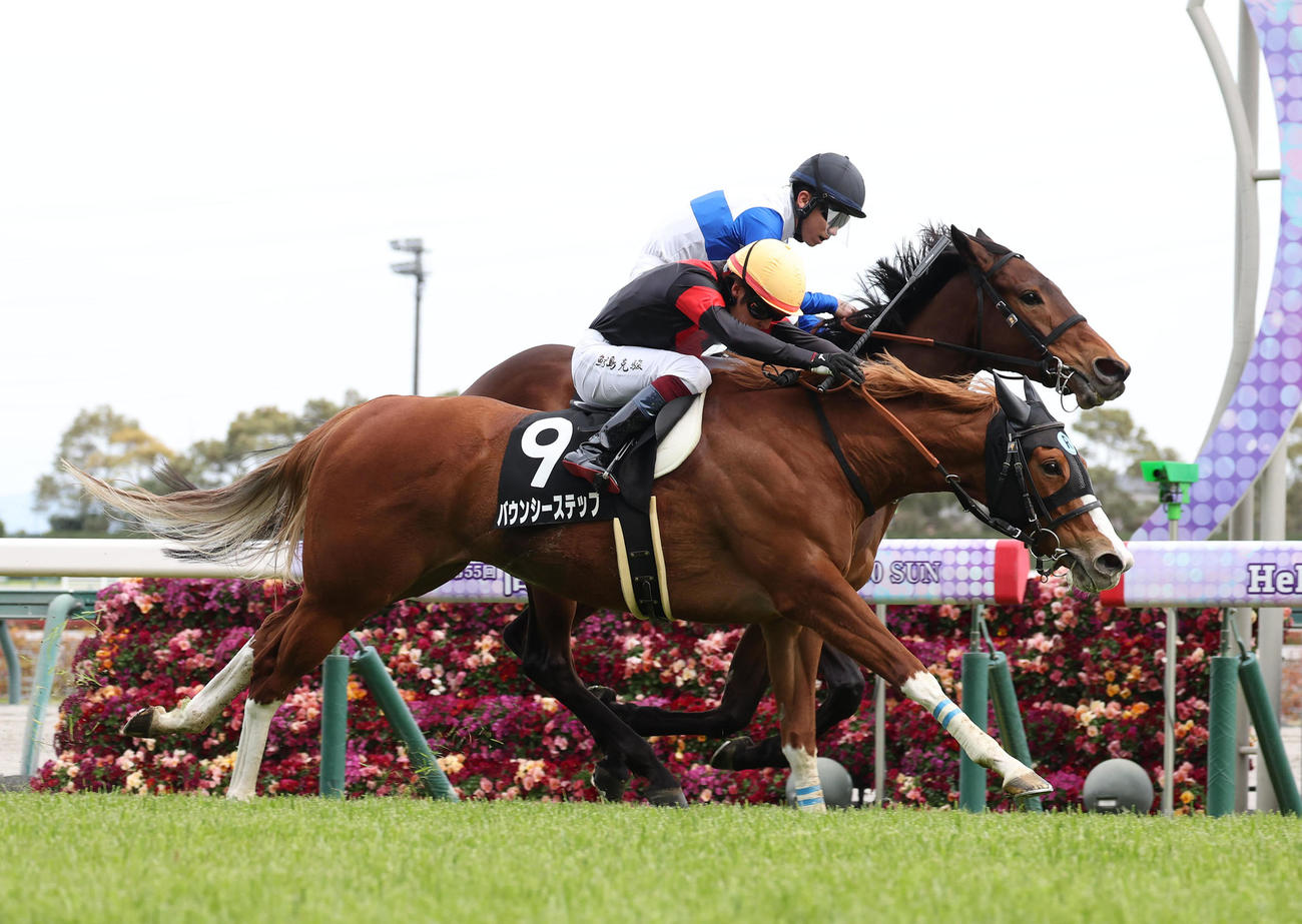 中京11R、逃げたメルトユアハート（奥）を差し切って豊橋Sを制したバウンシーステップ（撮影・白石智彦）