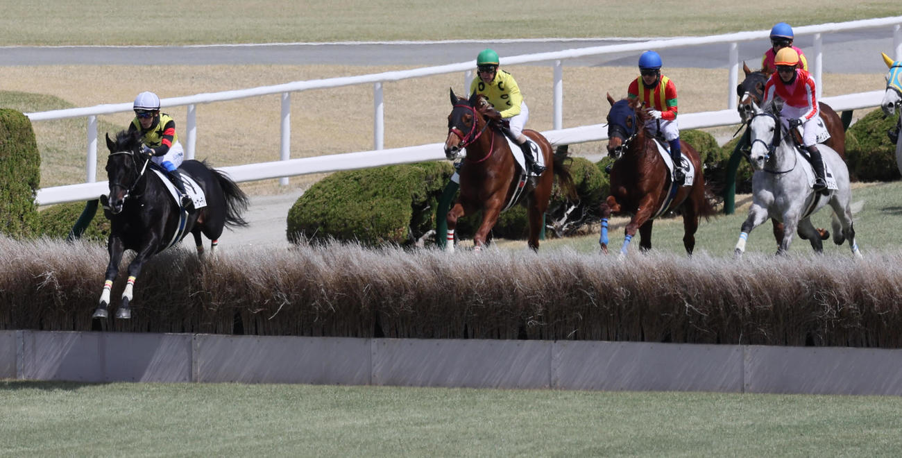阪神4R、障害4歳以上未勝利戦を制したザスリーサーティと坂口騎手（左）（撮影・宮崎幸一）