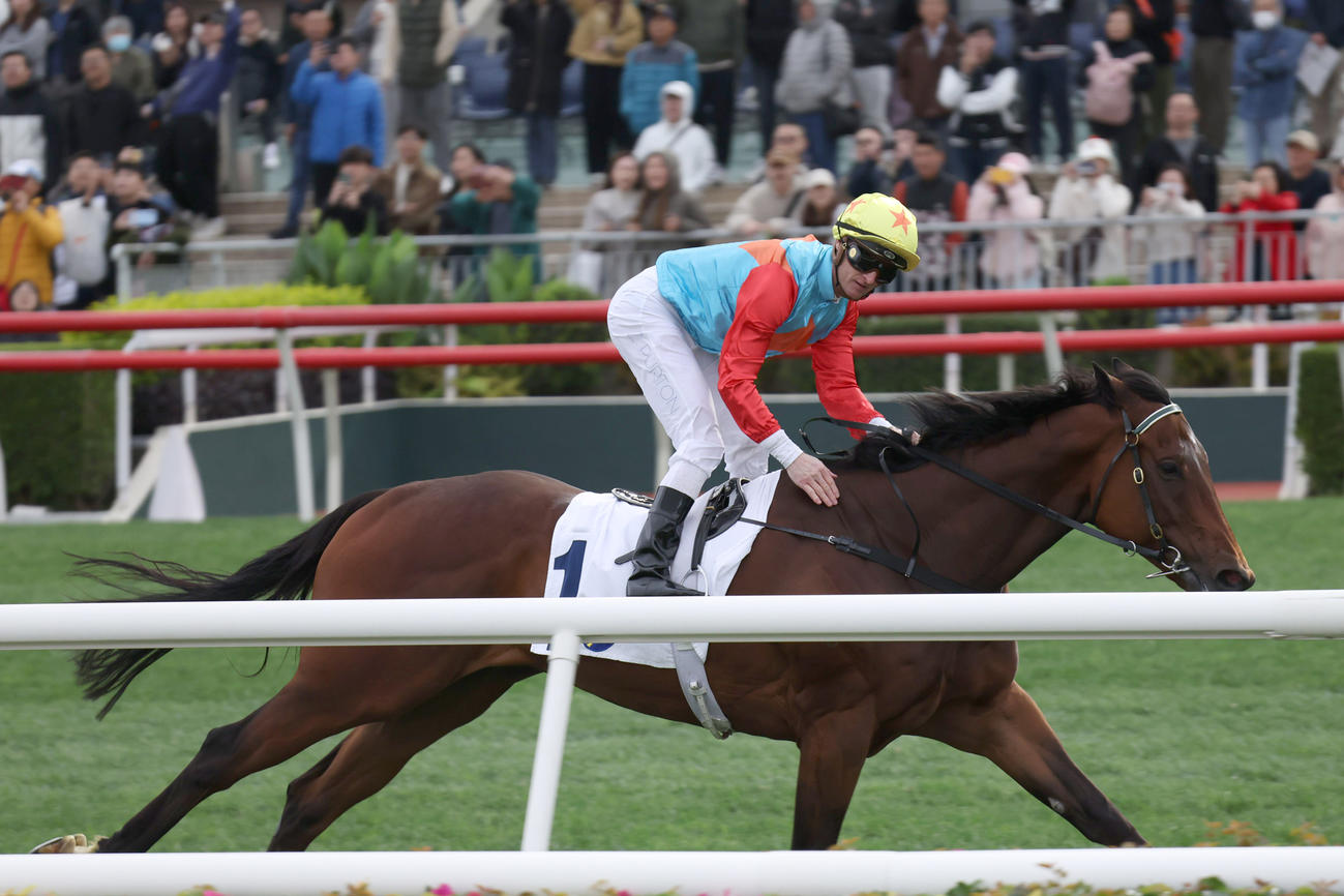 スプリントCを制し、11連勝となったカーインライジング（C）The Hong Kong Jockey Club