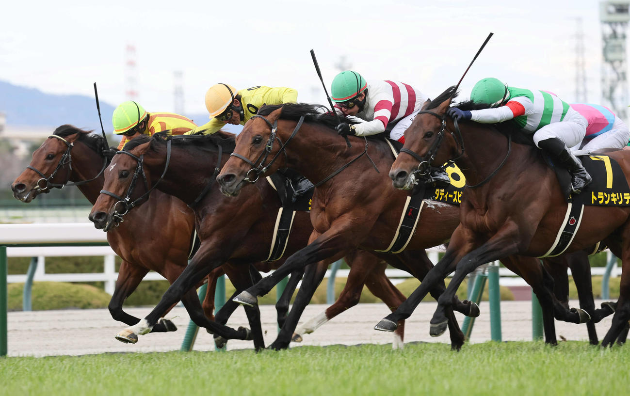 阪神11R、六甲Sを制したダディーズビビッドと池添騎手（右から2頭目）（撮影・宮崎幸一）
