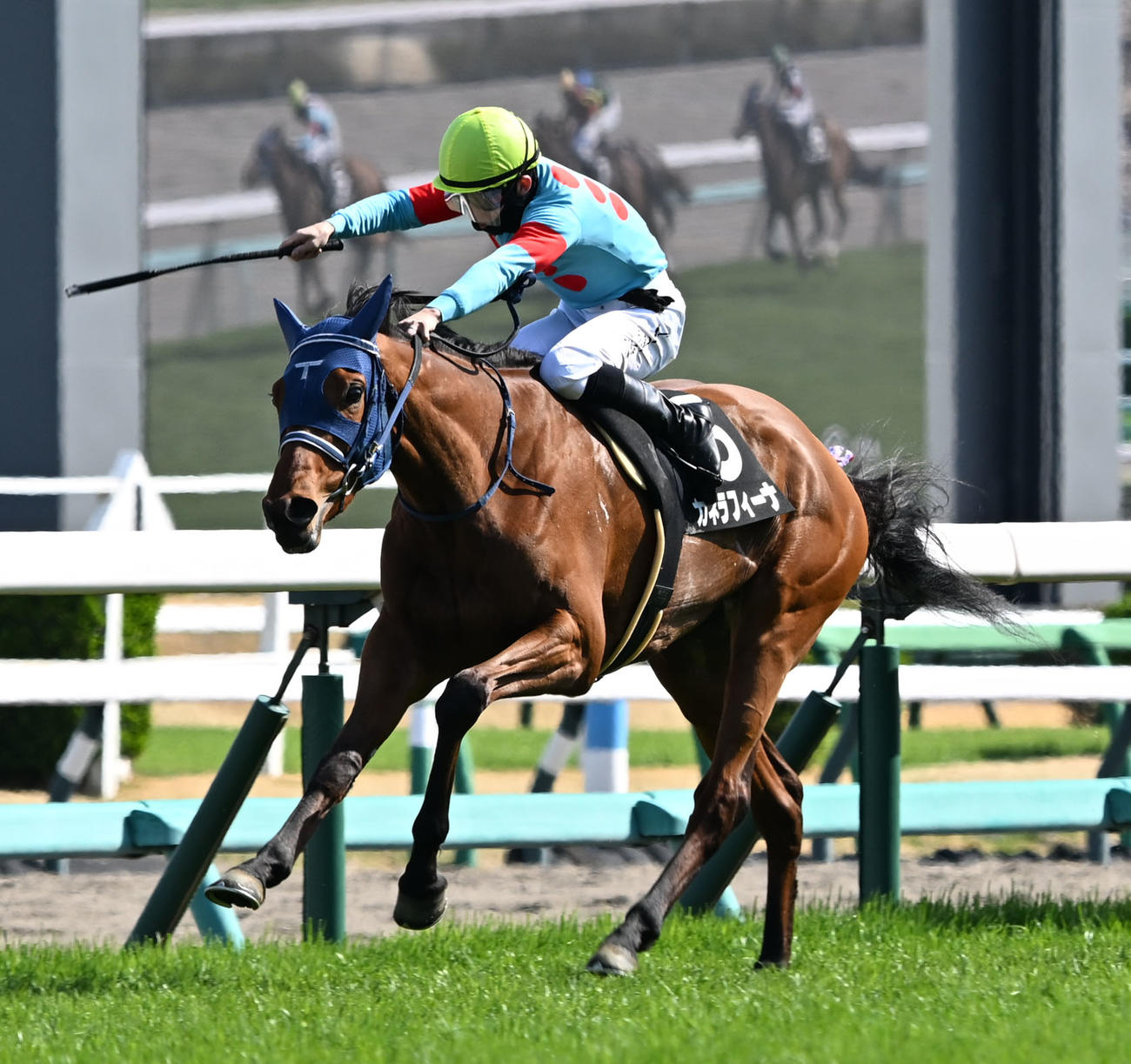 中山9R、ミモザ賞を制したカネラフィーナと石川騎手（撮影・千葉一成）