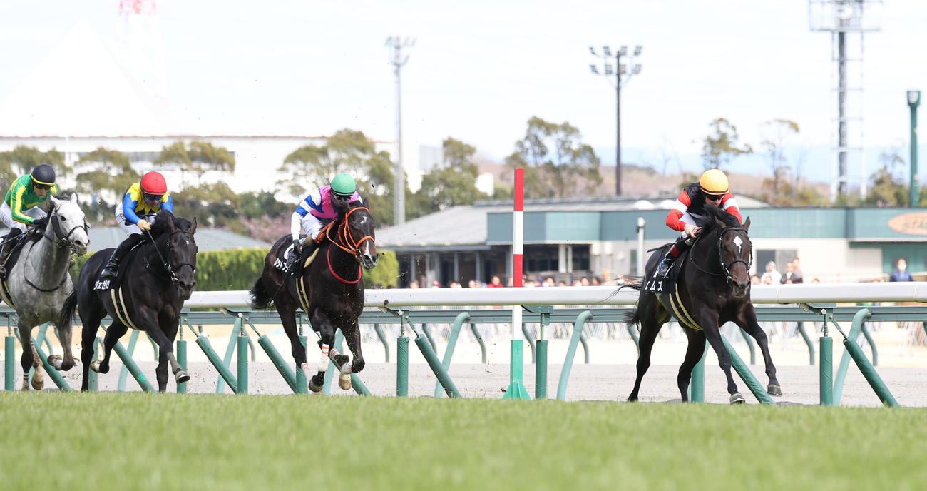 中京8R、直線抜け出して大寒桜賞を快勝したエムズ（右）（撮影・白石智彦）