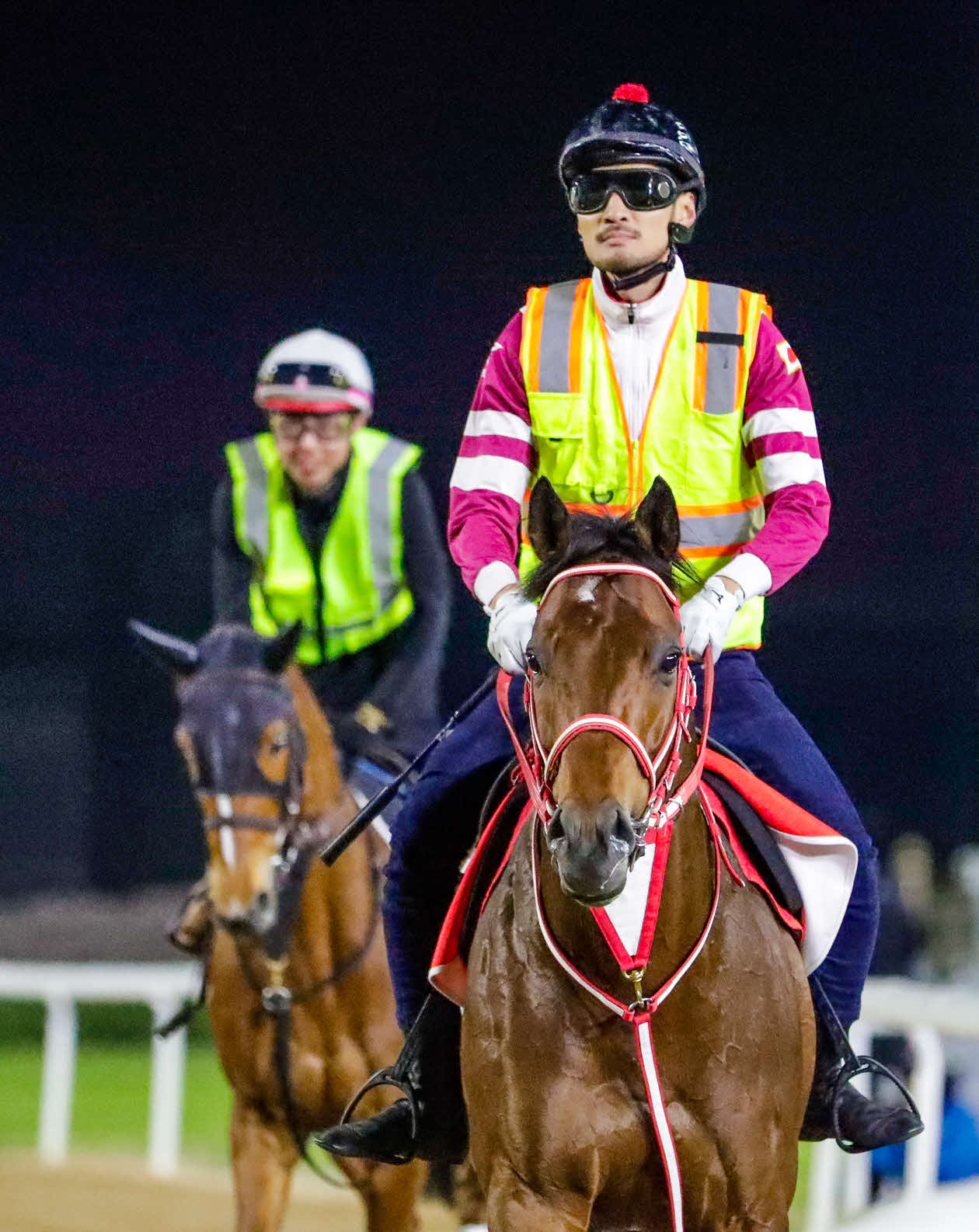 31日朝、馬場入りしたフォーエバーヤング。今年のドバイワールドCの主役だ（C）Dubai Racing Club