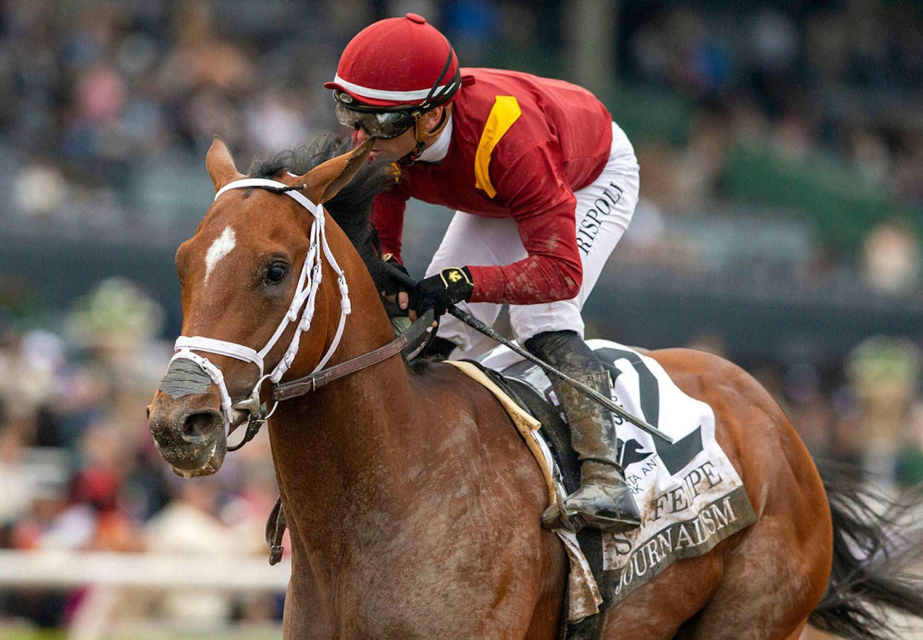 引退後にアシュフォードスタッドで種牡馬入りすることが決まったジャーナリズム（（C）Coolmore）