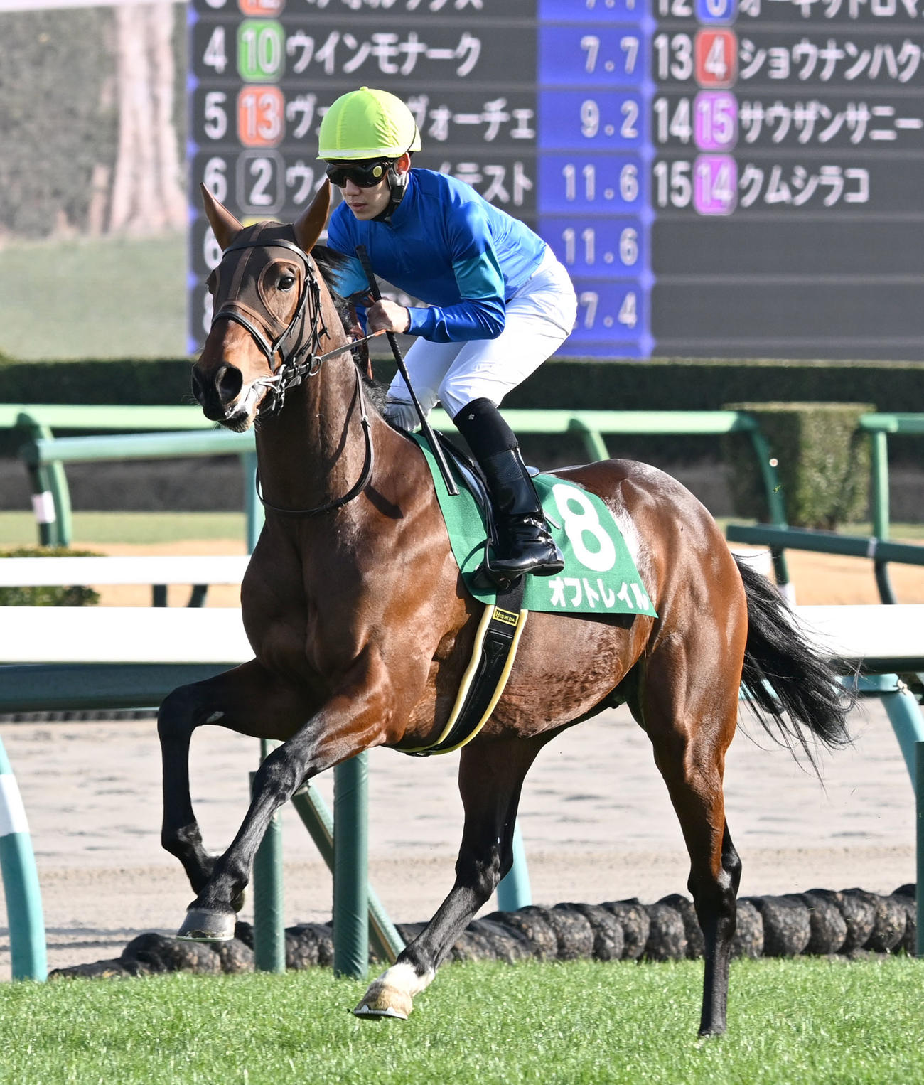 オフトレイル（2025年3月1日撮影）