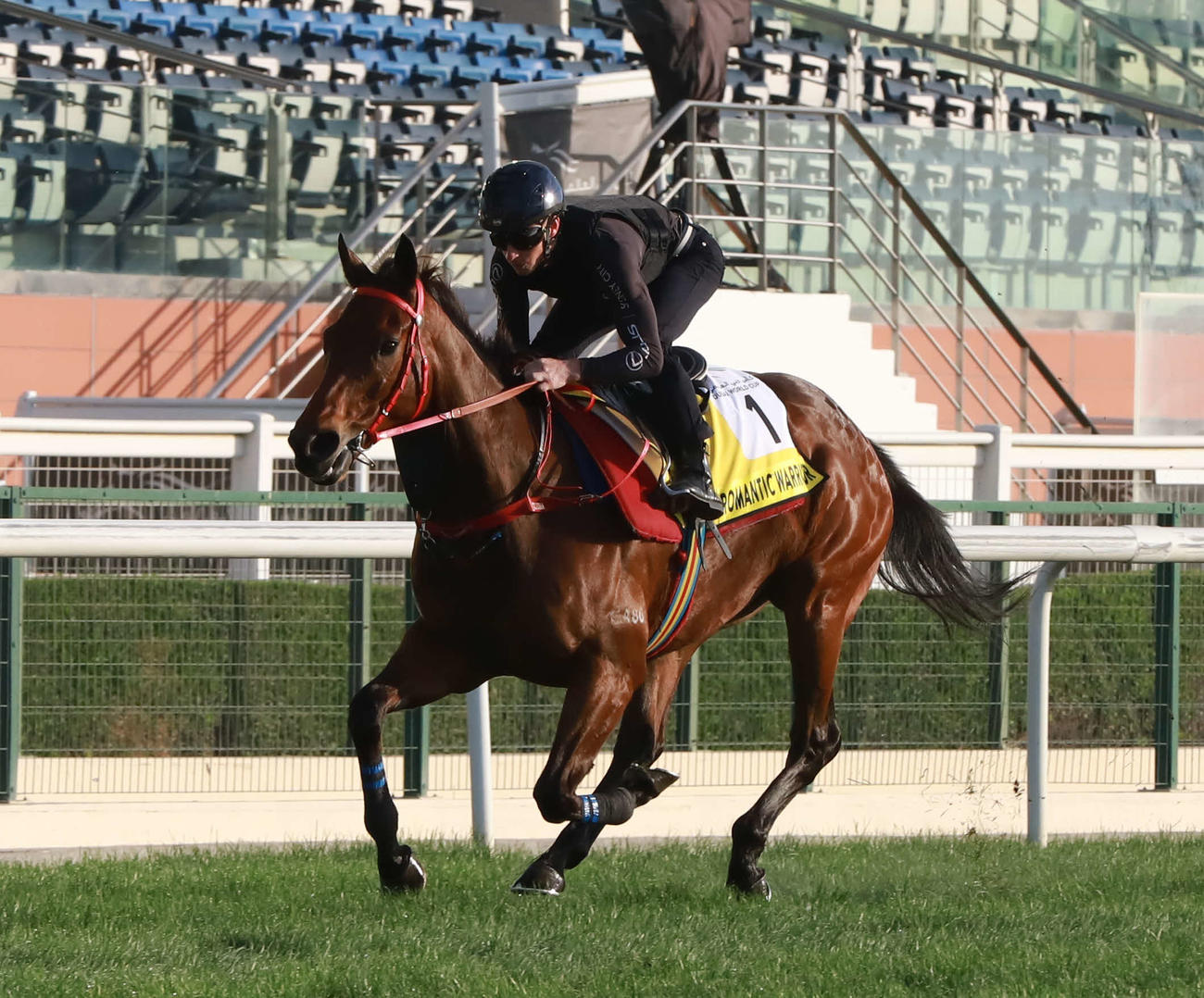 ドバイターフへの最終追い切りを行ったロマンチックウォリアー（撮影・桑原幹久）