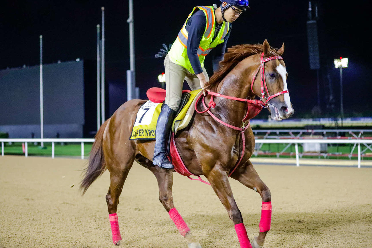 31日、メイダン競馬場で調整するジャスパークローネ（C）Dubai Racing Club
