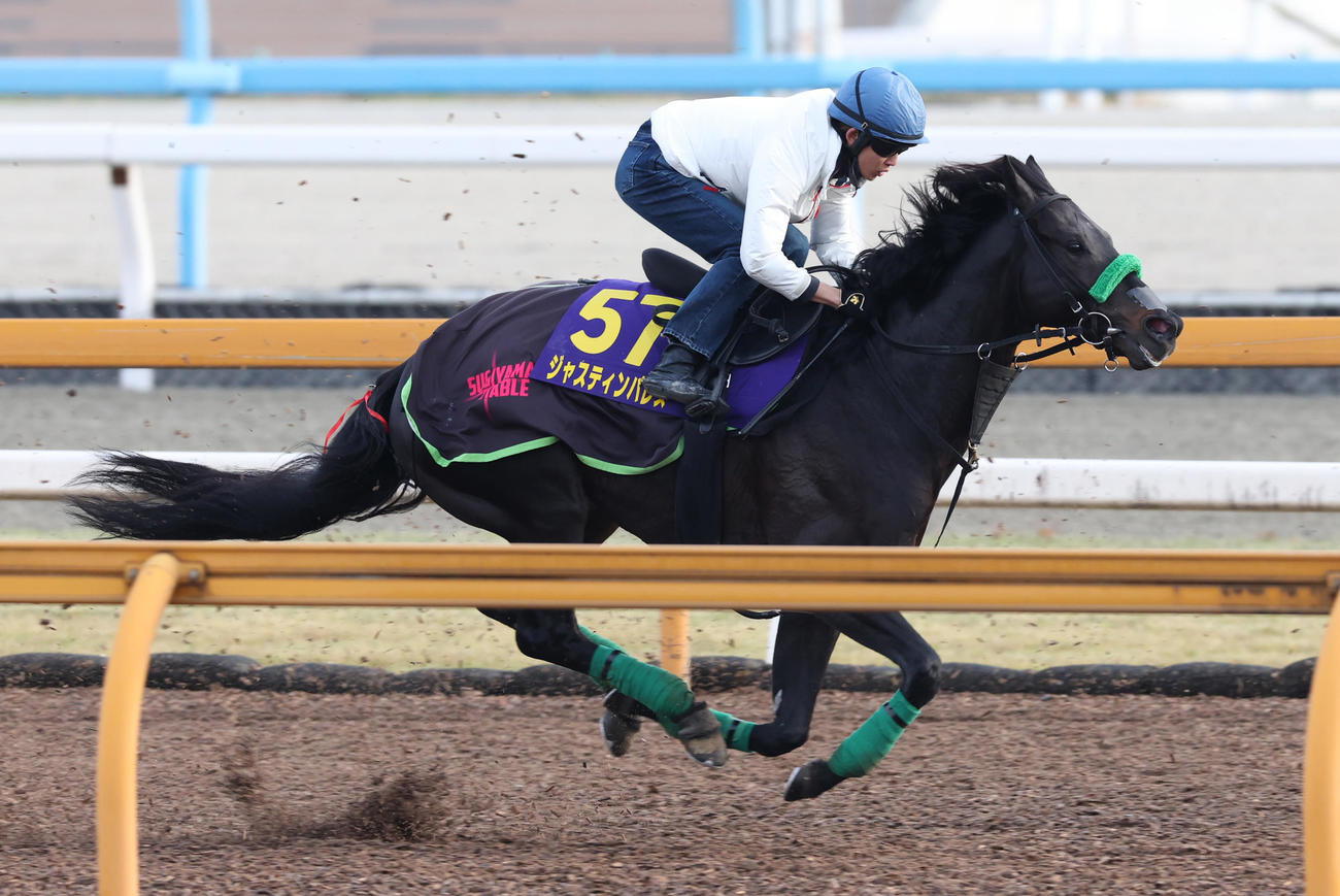 CWコースで追い切るジャスティンパレス