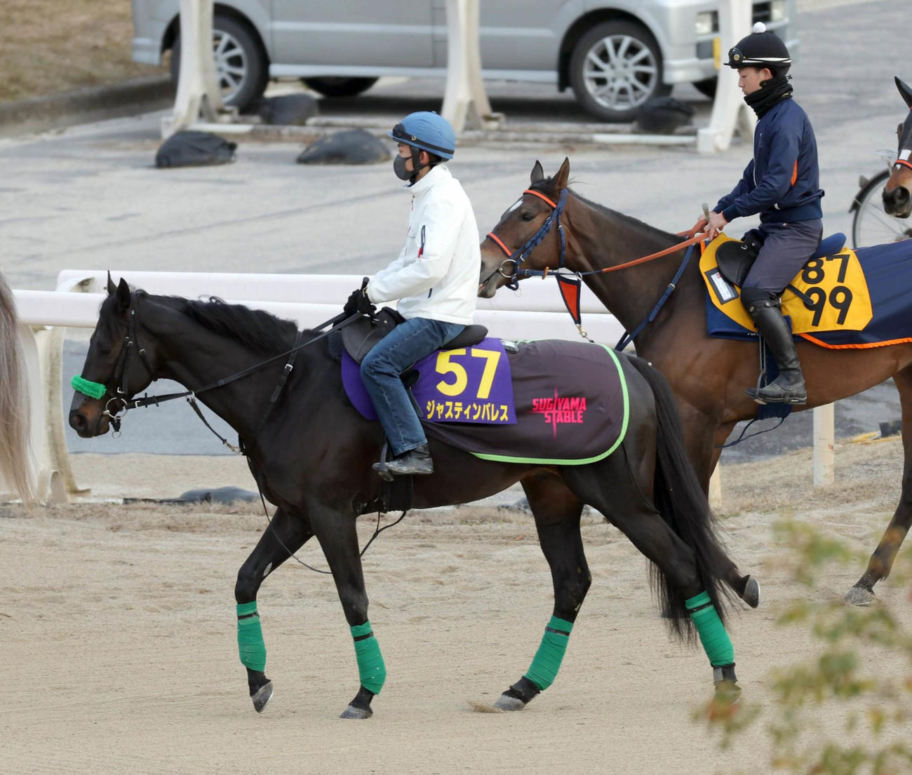 追い切り前に運動するジャスティンパレス（左）