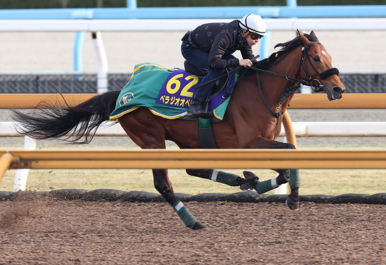 CWコースで追い切られたベラジオオペラ