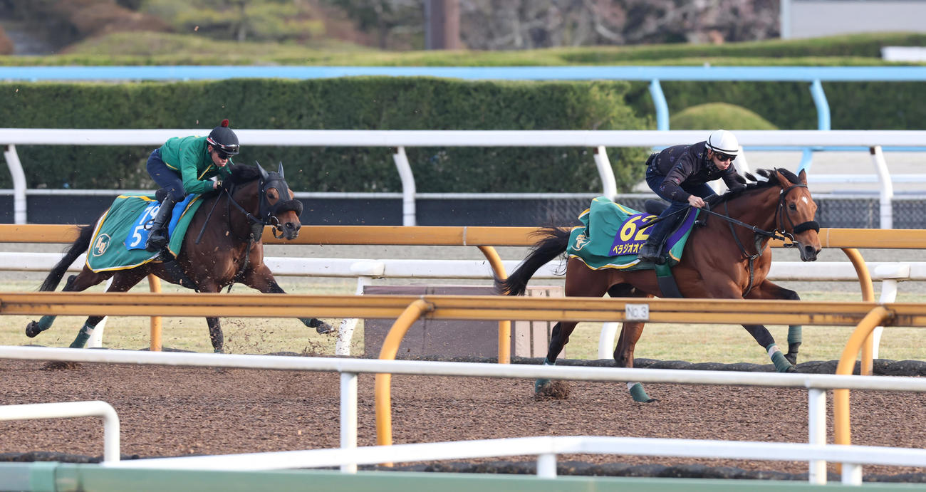 CWコースにて併せ馬で追い切るベラジオオペラ（右）　