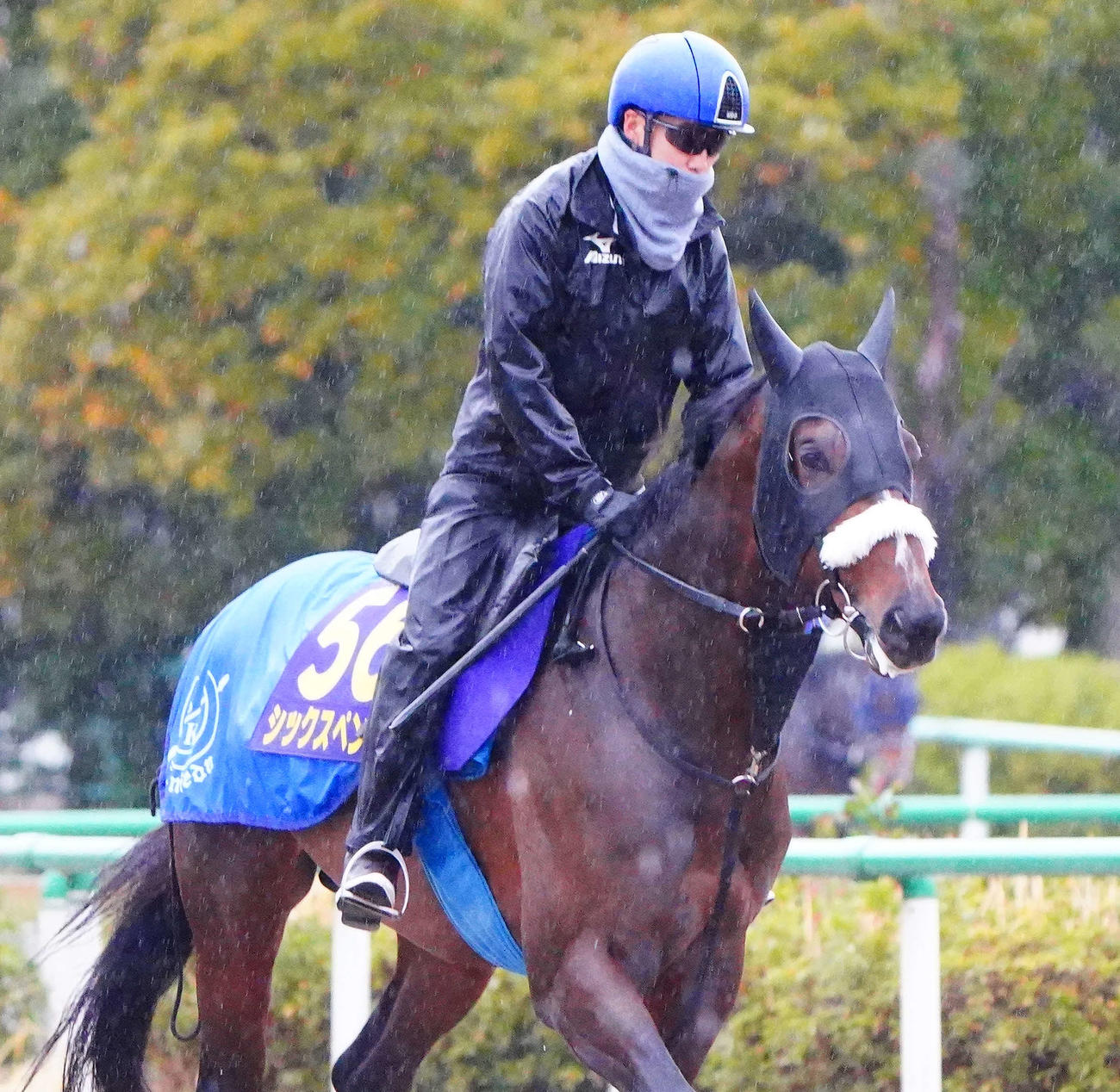 角馬場で調整するシックスペンスと横山武騎手（撮影・丹羽敏通）