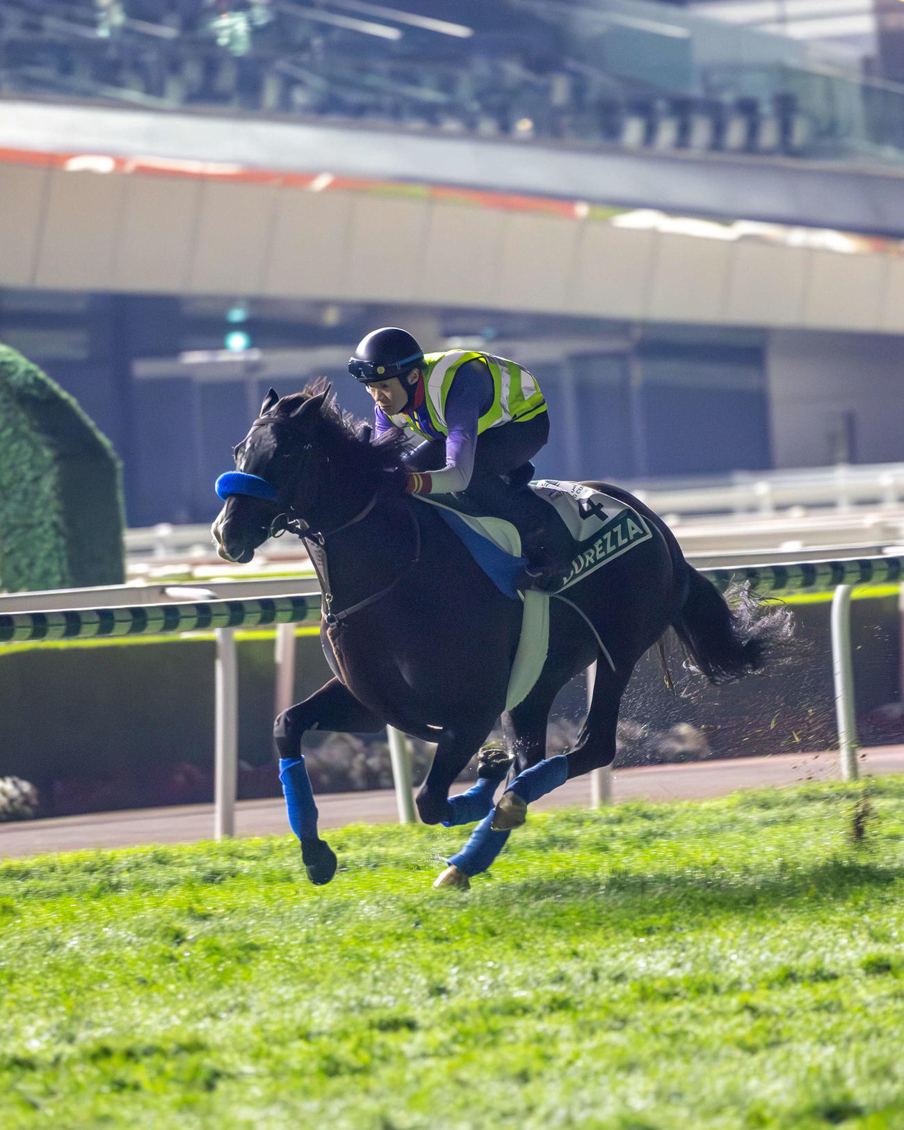 2日朝、芝コースで追い切るドゥレッツァ（（C）Dubai Racing Club）