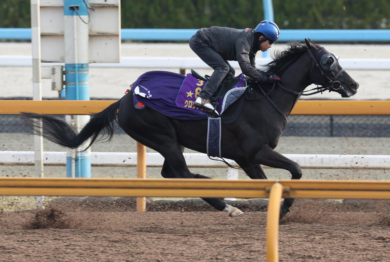 北村友騎手を背にCWコースにて3頭併せ馬で追い切るクロワデュノール