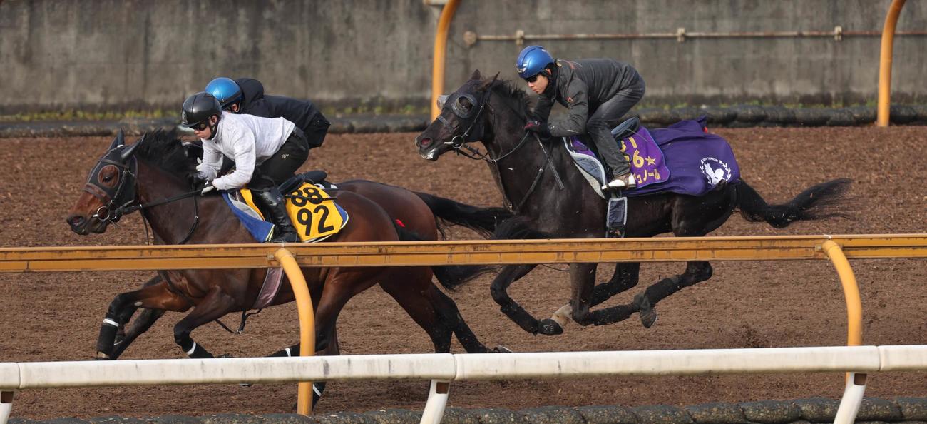 3頭併せで北村友騎手を背に追い切るクロワデュノール（右）