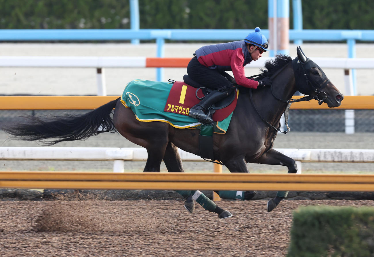 岩田望騎手を背にCWコースを併せ馬で追い切るアルマヴェローチェ