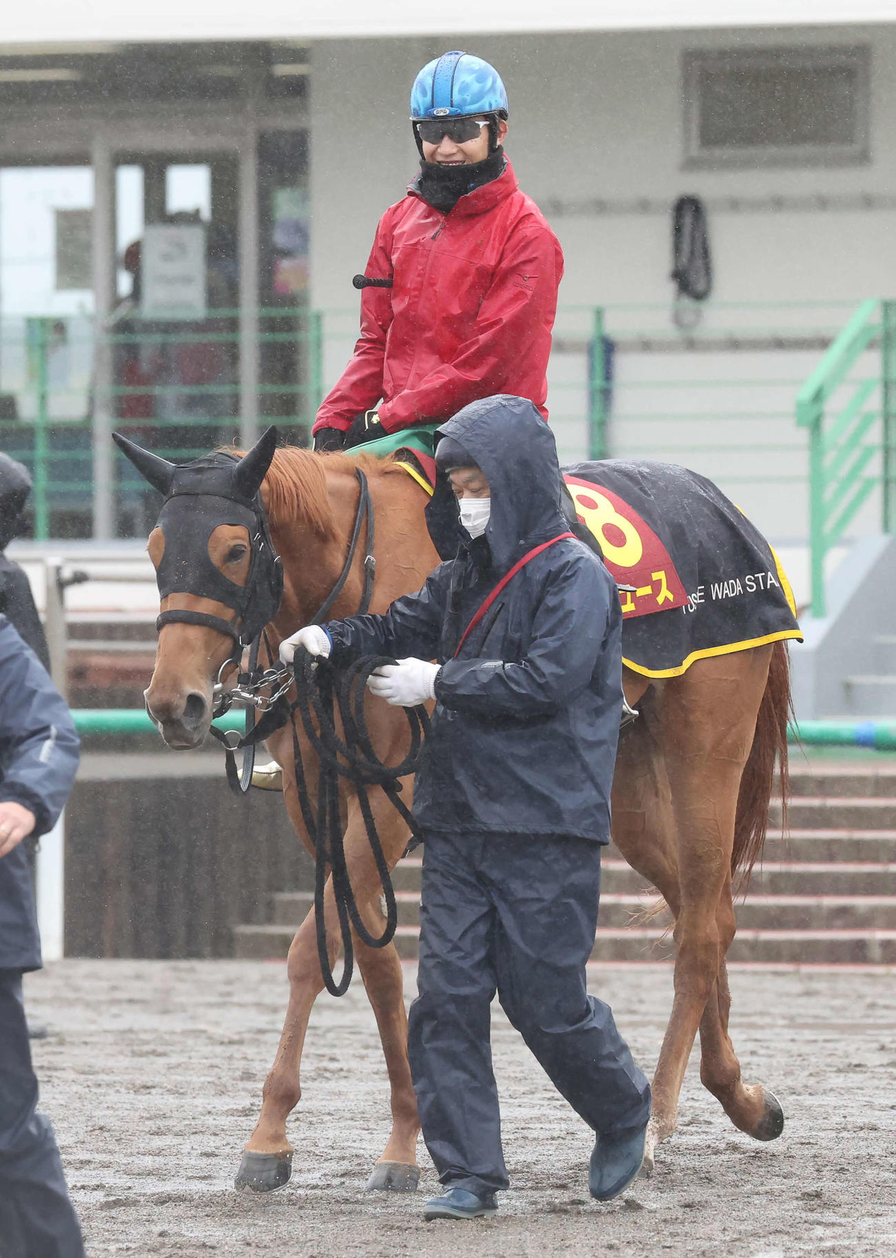追い切りを終えて馬場を出るマピュースと田辺騎手（撮影・丹羽敏通）
