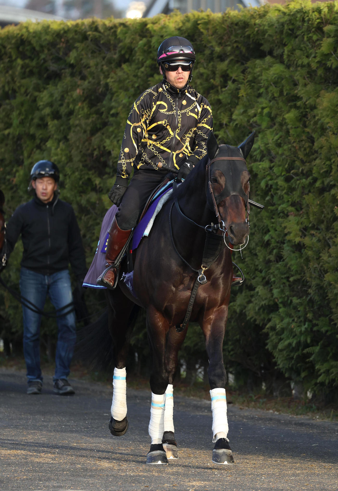 厩舎周りで運動するデシエルト（撮影・白石智彦）