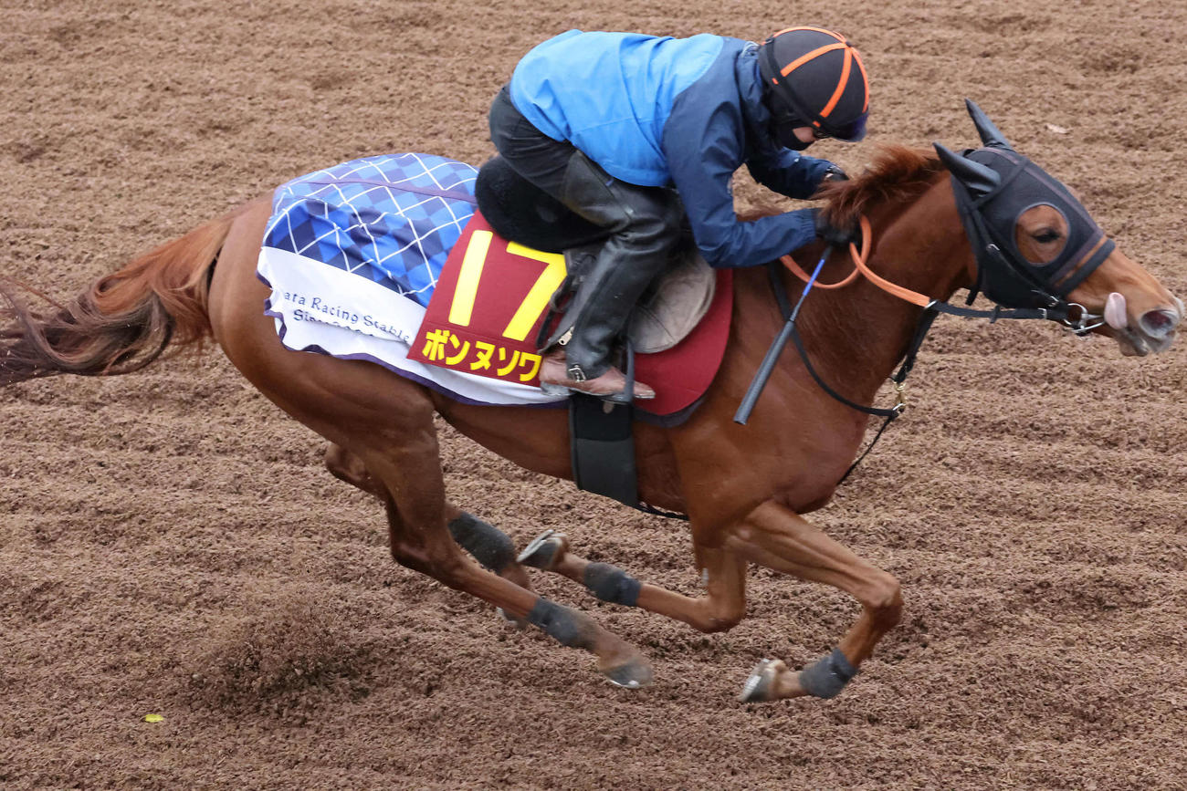 美浦坂路を駆け上がるボンヌソワレ（撮影・丹羽敏通）