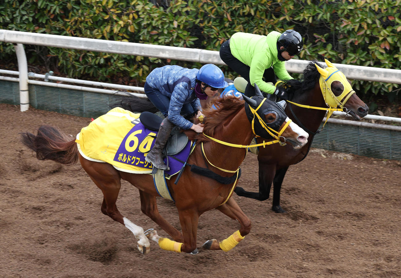 吉田隼騎手を背に坂路をエートラックス（右）と併せ馬で追い切るボルドグフーシュ（撮影・白石智彦）
