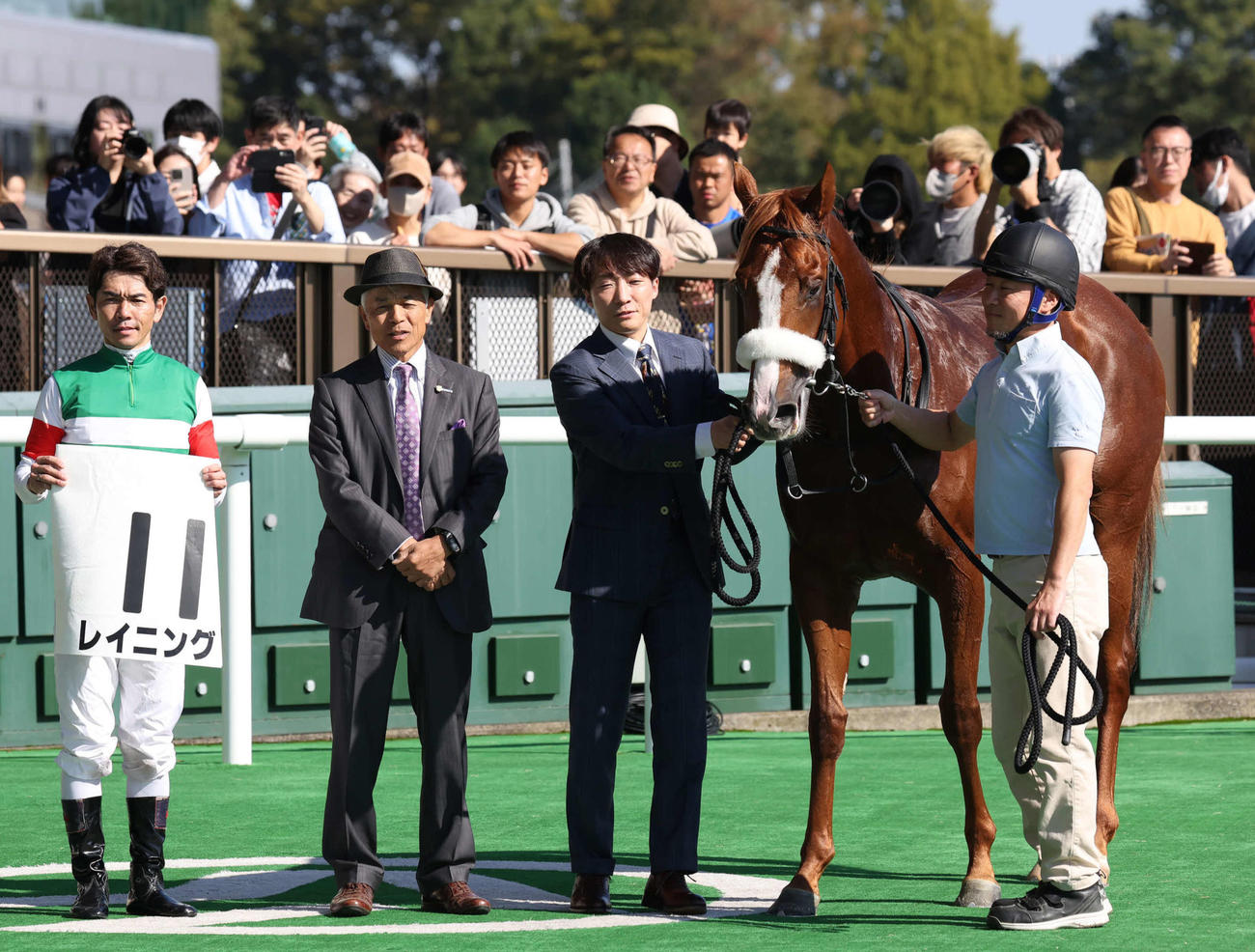 24年11月3日東京5Rの新馬戦を制したレイニング