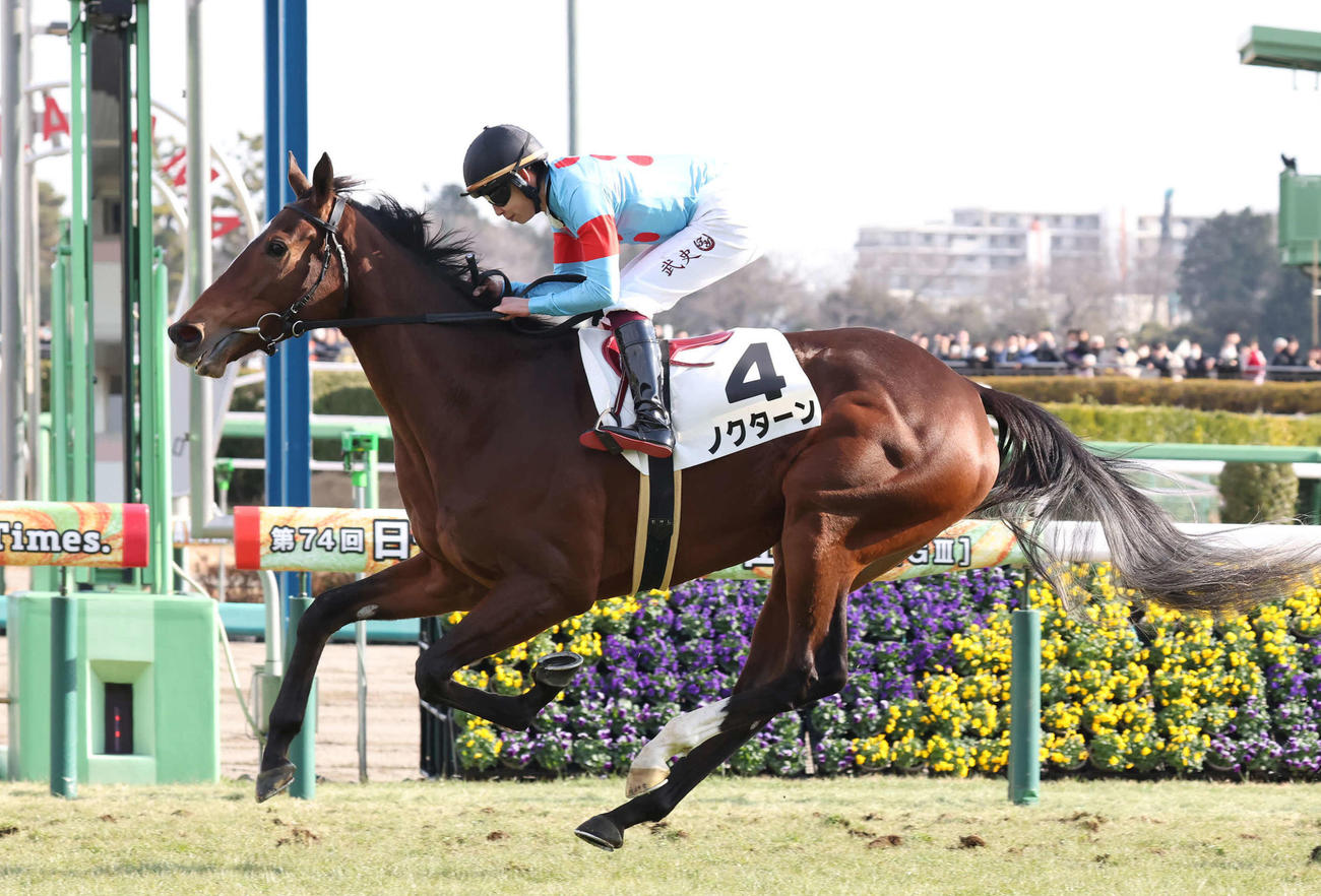 1月5日中山6Rの3歳新馬戦を制したノクターン
