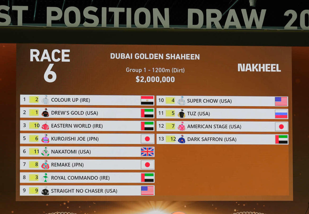 ドバイゴールデンシャヒーンの出走馬と枠順（C）Dubai Racing Club