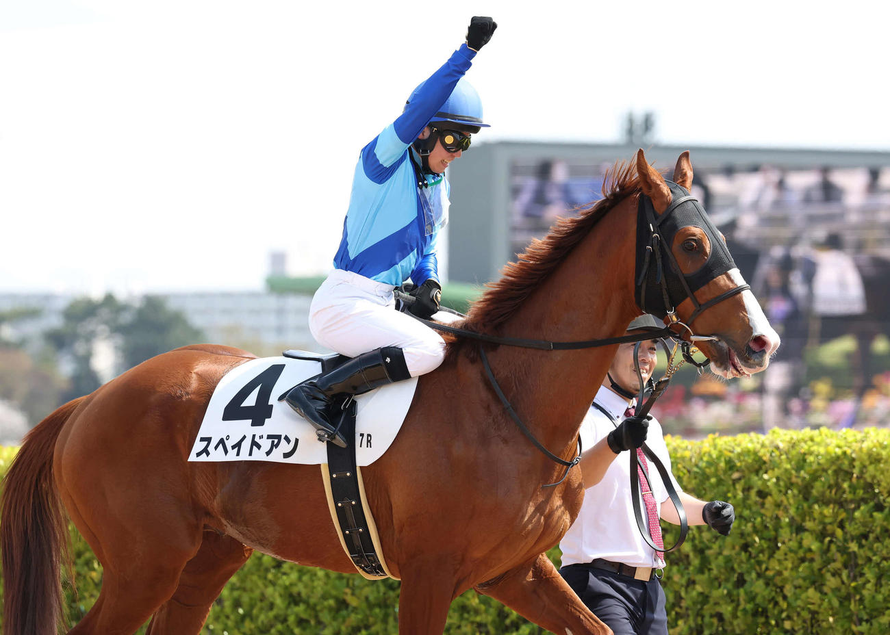 中山7R、4歳上1勝クラスをスペイドアンで逃げ切った上里騎手（撮影・丹羽敏通）
