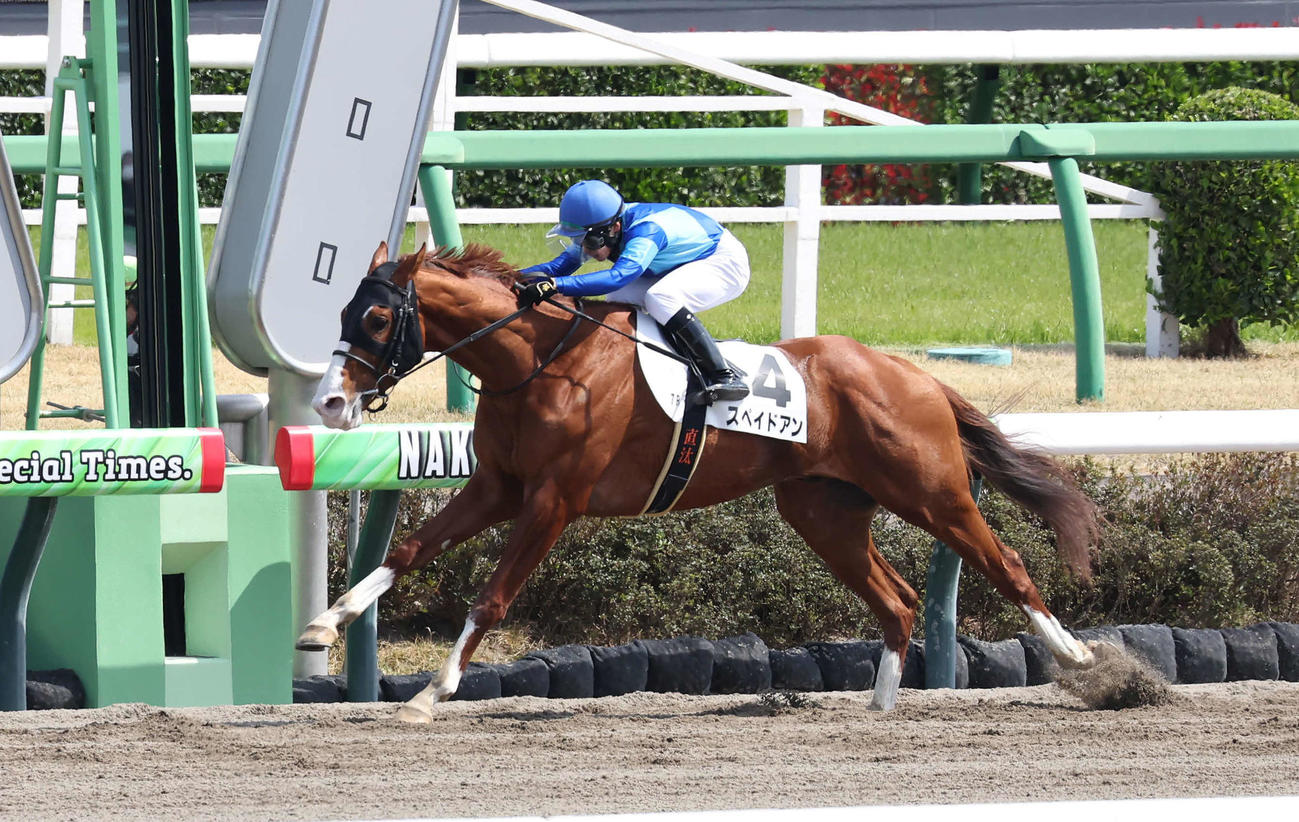 中山7R、4歳上1勝クラスをスペイドアンで逃げ切った上里騎手（撮影・丹羽敏通）