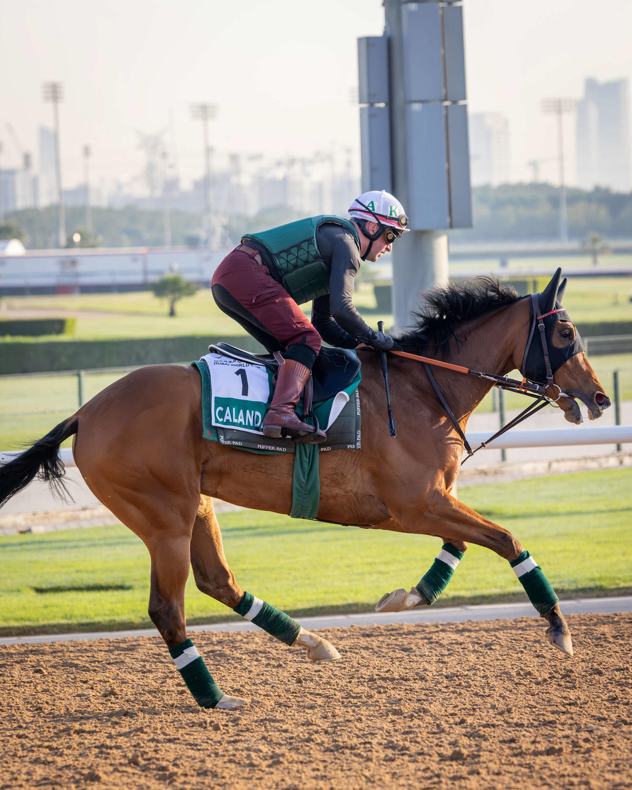 ドバイシーマCに出走するカランダガン（C）Dubai　Racing　Club