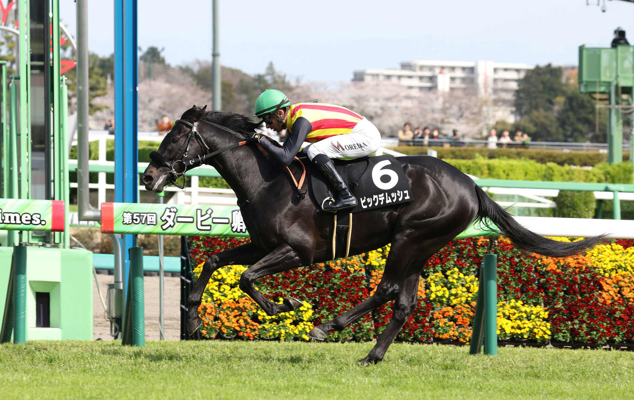 山吹賞を制したピックデムッシュとモレイラ騎手（撮影・丹羽敏通）