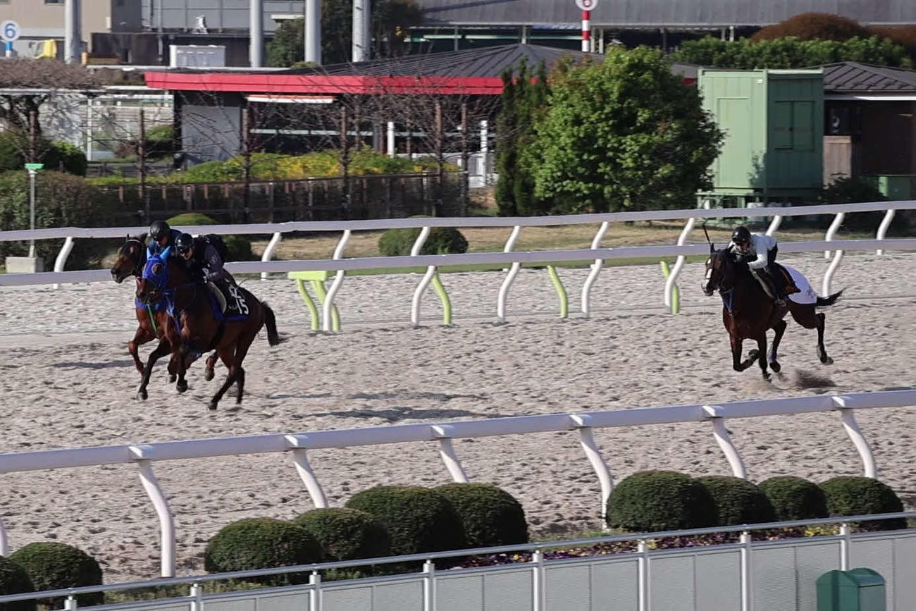川崎記念に向け3頭併せで追い切るキリンジ（左）とミックファイア（右）