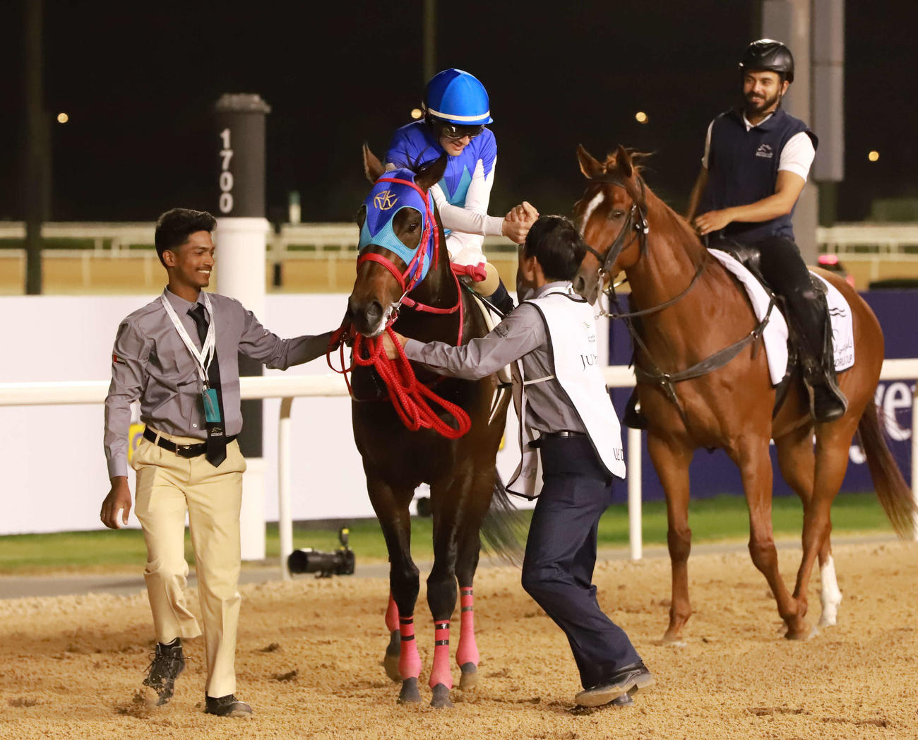 UAEダービーを制したアドマイヤデイトナ（撮影・桑原幹久）
