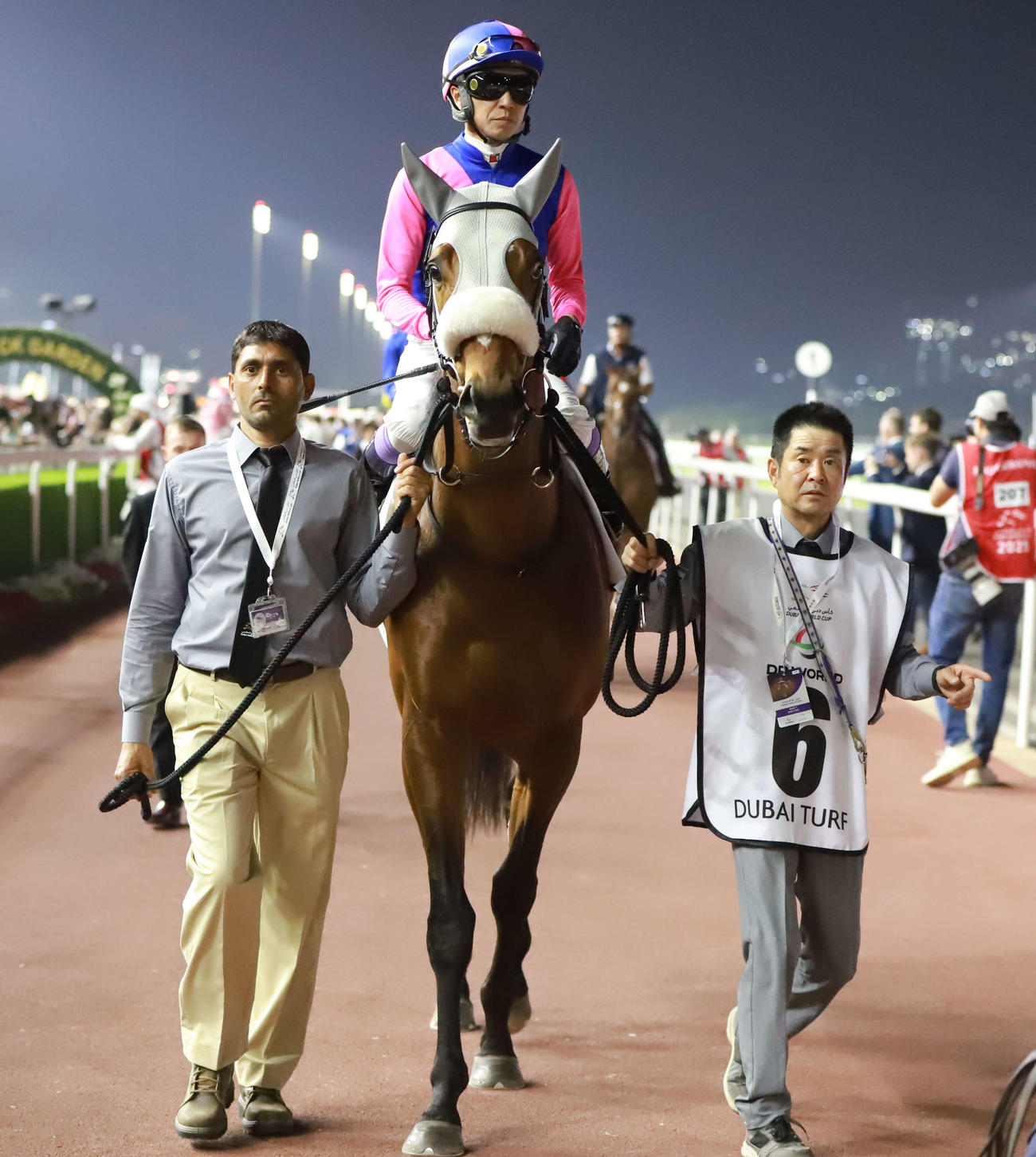 ドバイターフに出走したメイショウタバルと武豊騎手（撮影・桑原幹久）