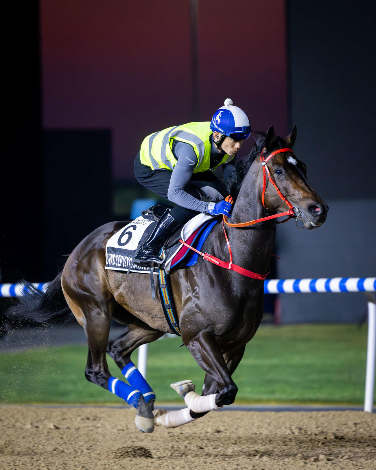 メイダン競馬場で調整する香港のハウディープイズユアラブ（C）Dubai Racing Club