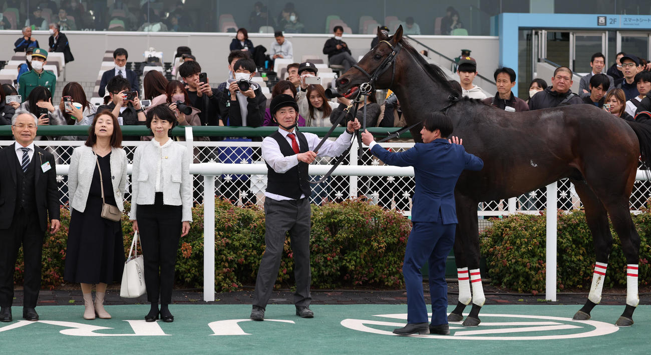 阪神9R、アザレア賞を制したダノンシーマは口取りに臨む（撮影・西尾就之）