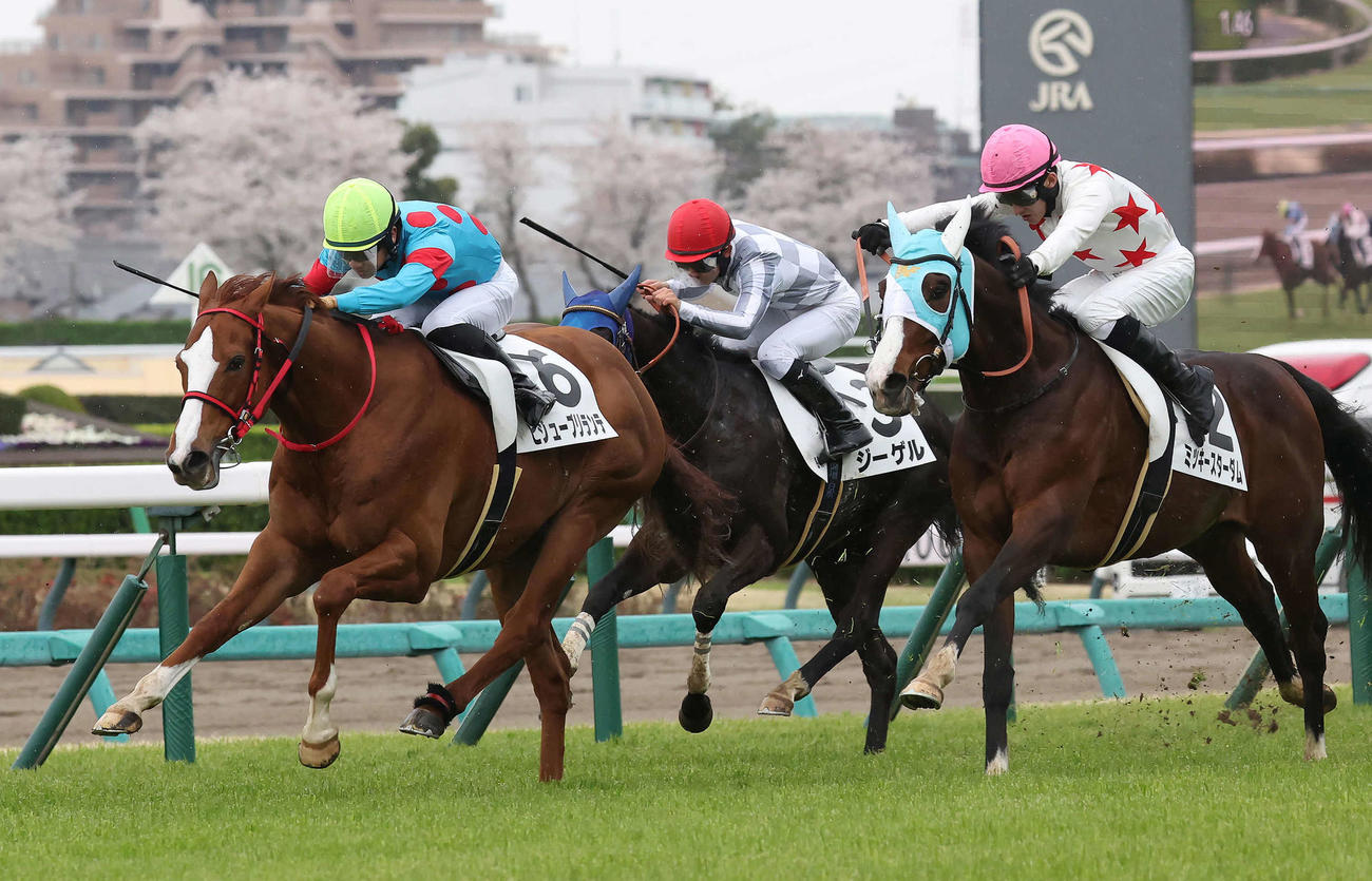 中山8R、4歳上1勝クラスを制したビジューブリランテと荻野極騎手（撮影・丹羽敏通）