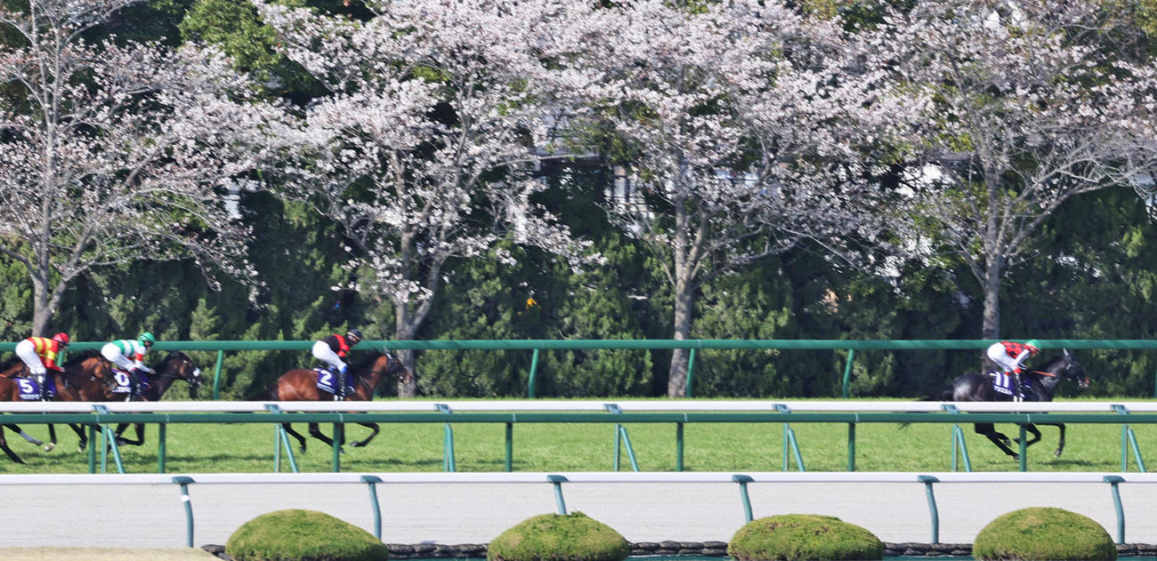 大阪杯、大逃げを打ったデシエルト（右）（撮影・西尾就之）