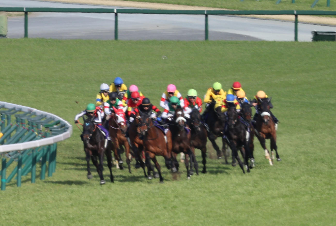 大阪杯、4角出口で馬群に飲まれるデシエルト（左）（撮影・西尾就之）