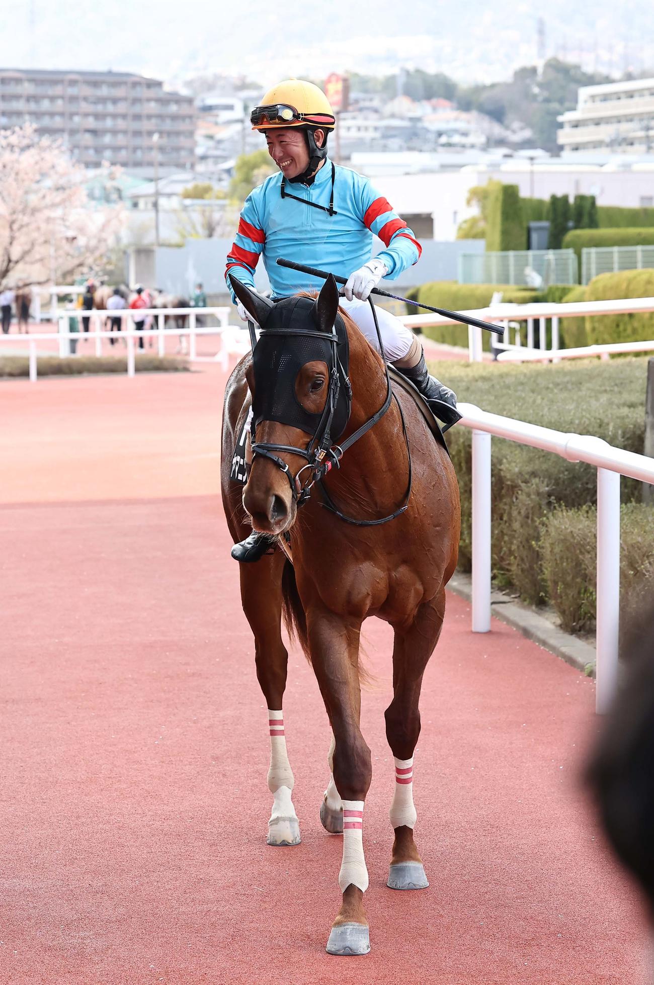 阪神9R　バイオレットS1着のヤマニンチェルキと酒井騎手（撮影・上田博志）