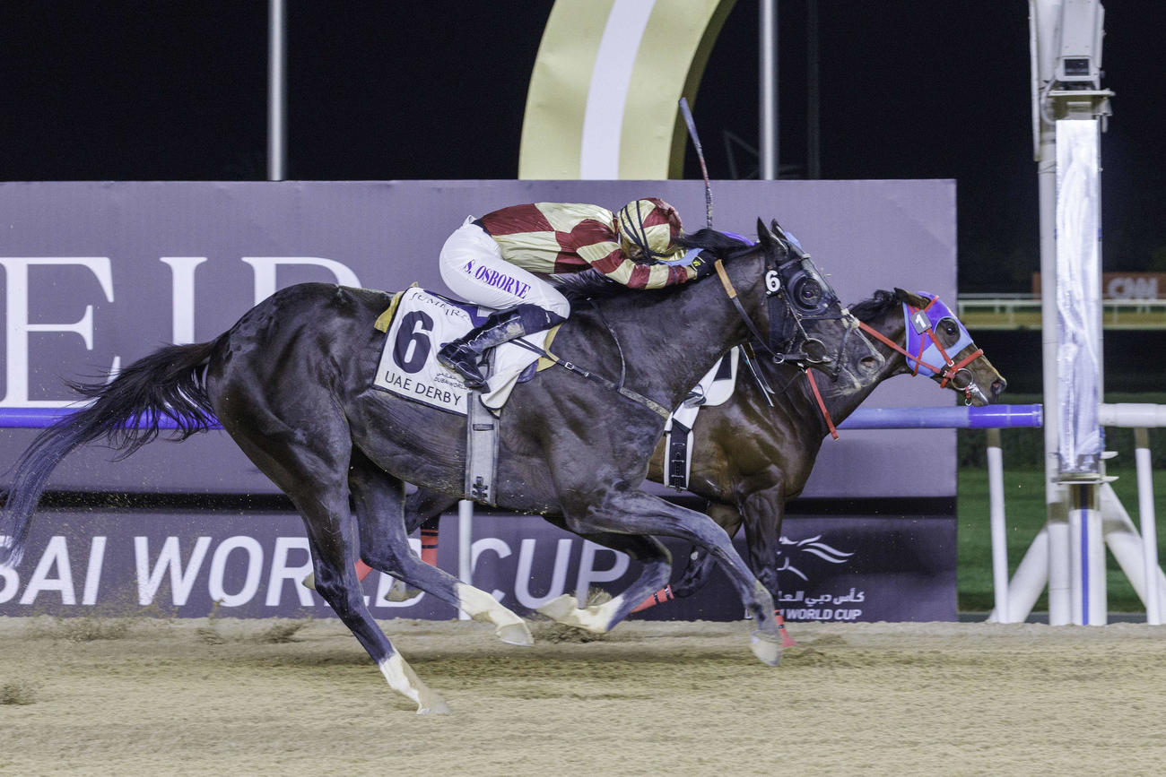 UAEダービー2着のハートオブオナー（手前）とアドマイヤデイトナ（C）Dubai Racing Club