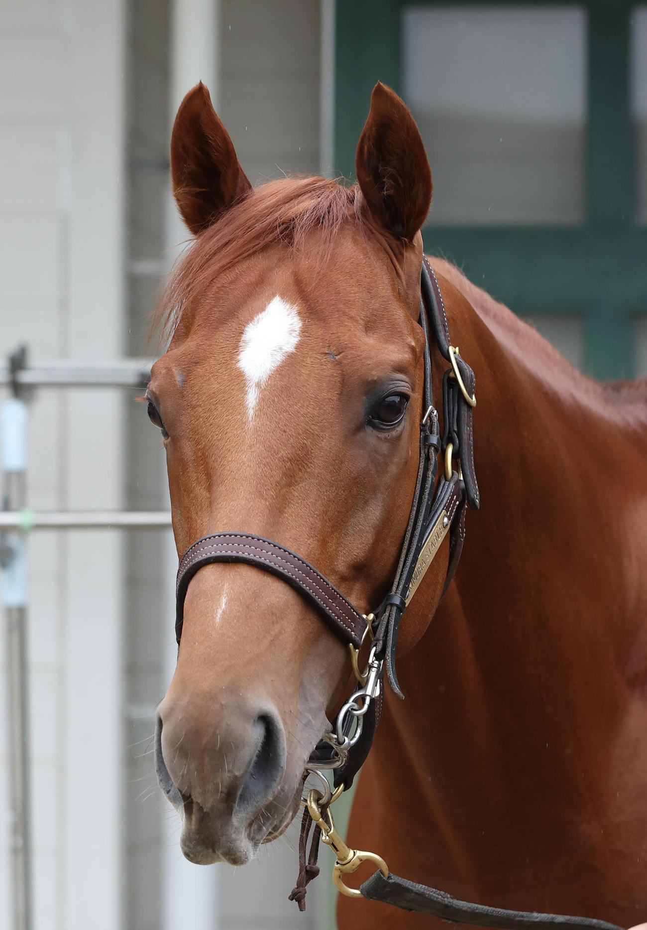 ジオグリフ（2023年撮影）