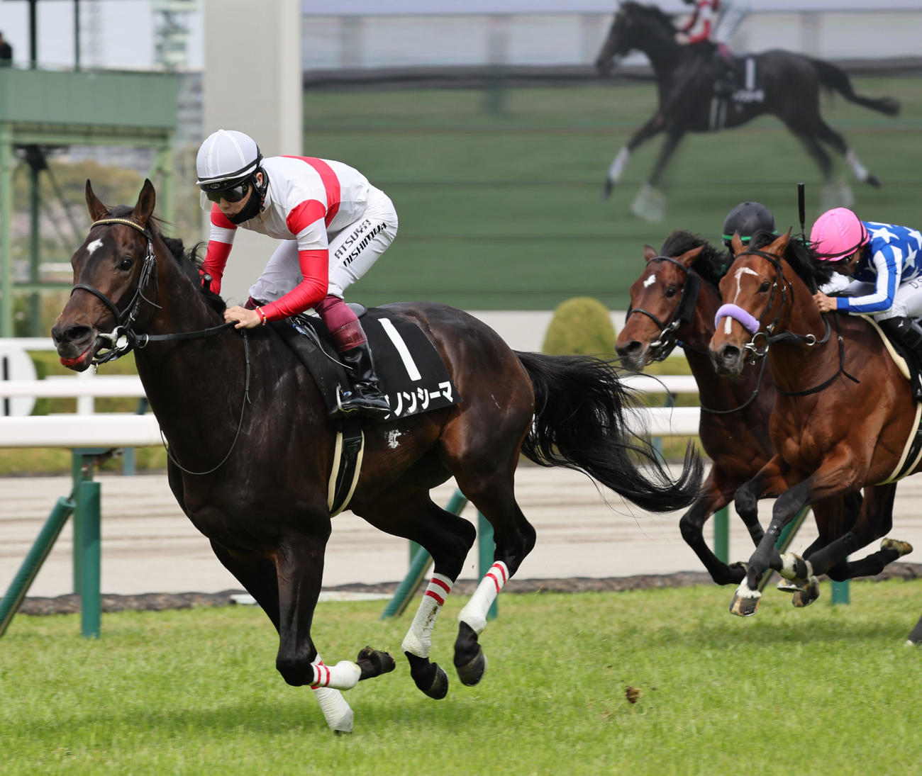 阪神9R、アザレア賞はダノンシーマと西村淳也騎手が直線で抜け出し制す（撮影・西尾就之）