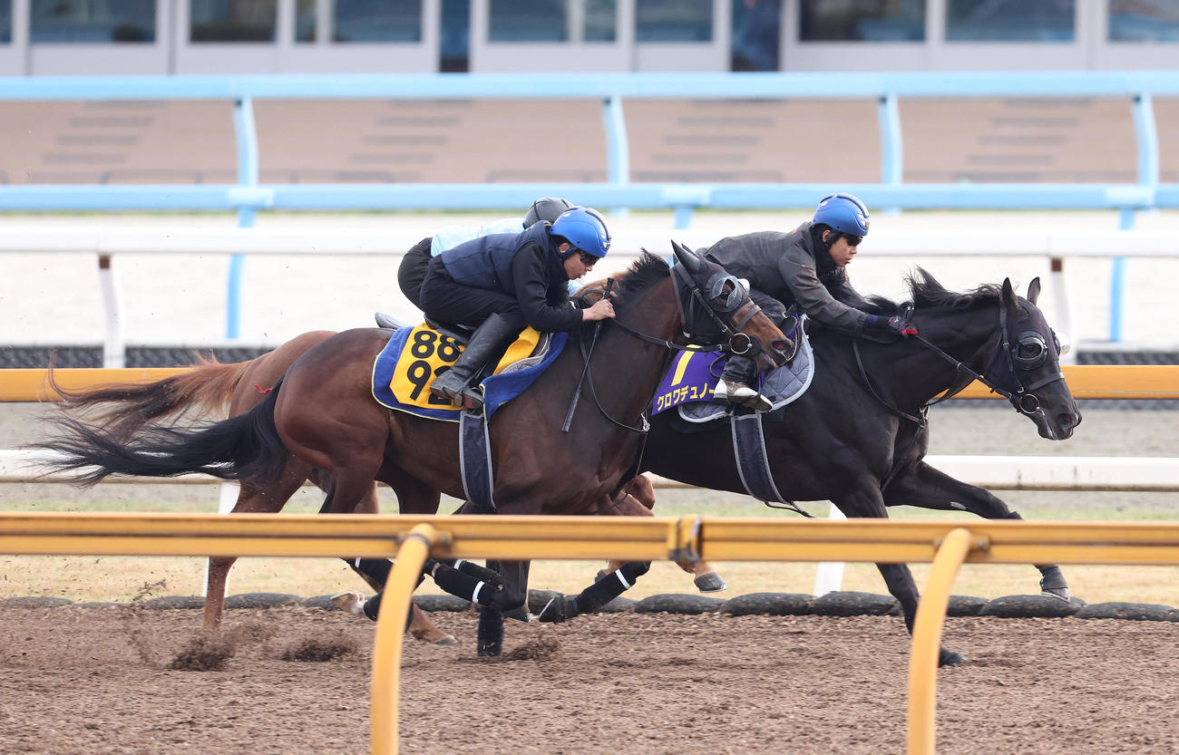 北村友騎手を背にCウッドを3頭併せで追い切るクロワデュノール（右）（撮影・白石智彦）